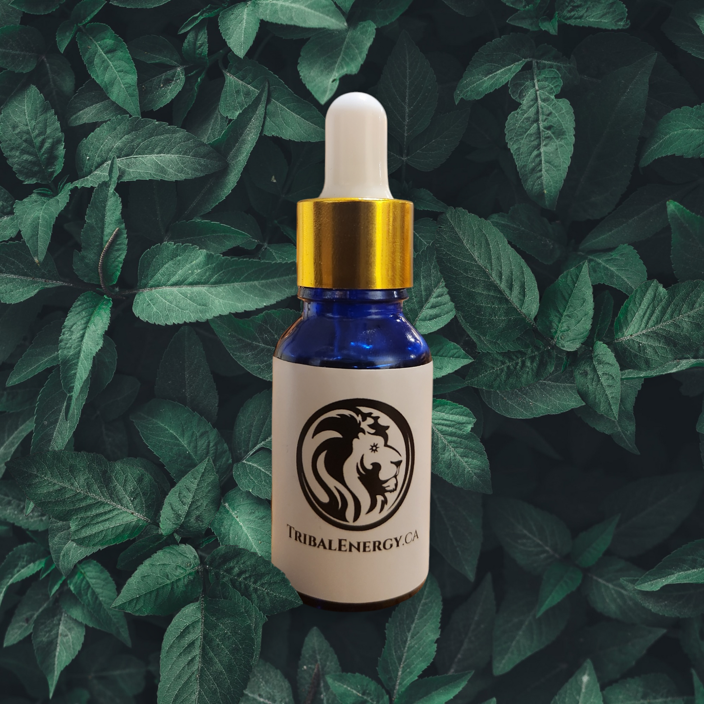 Organic Blue Lotus Absolute