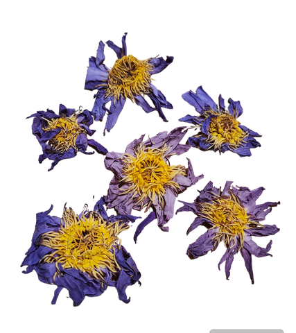 Organic Blue Lotus Flower