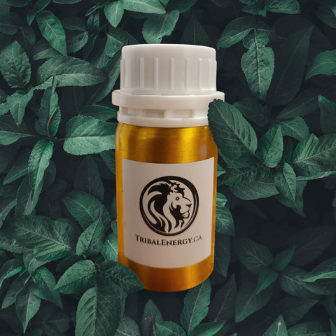 Organic Transcendence Essential Oil Blend