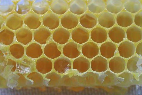 Organic Beeswax Absolute w/ Sweet Almond Oil