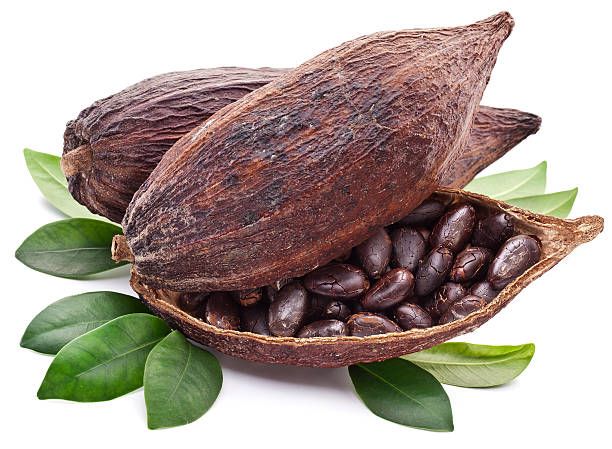Organic Cacao Absolute w/ Sweet Almond Oil