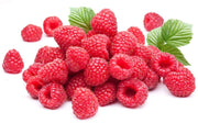 Organic Red Raspberry Seed Essential Oil