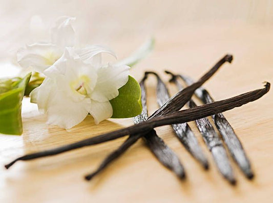 Organic Vanilla Absolute w/ Sweet Almond Oil